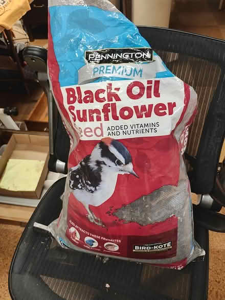 Photo of free Bird Seed (Devonshire area in Skokie, IL) #2