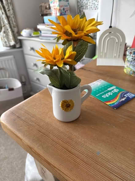 Photo of free Plastic plant (Frodsham WA6) #1