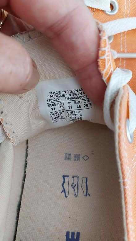 Photo of free Canvas shoes Size 11 mens (St Albans Jersey Farm AL4) #3