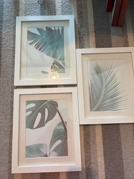 Photo of free Set of 3 white picture / photo frames (Northchurch HP4) #1