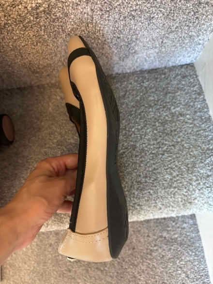 Photo of free Beige flats (Kenilworth CV8) #2