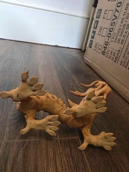 Photo of free Dragon (Ramsgate CT11) #3