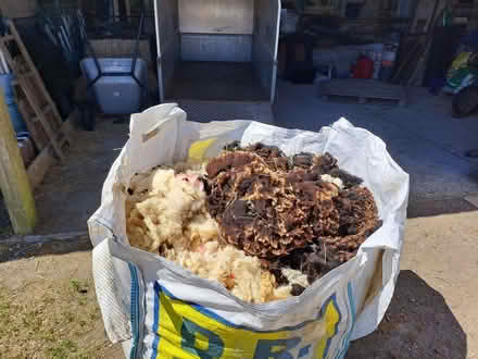 Photo of free Sheep fleece (Piece TR16) #1