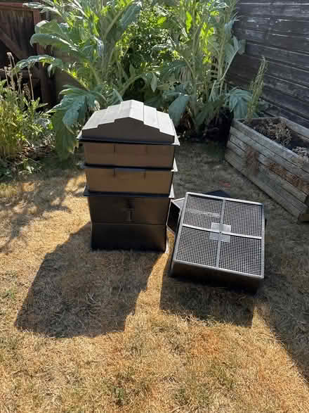 Photo of free Wormery (Hitchin (South)) #1