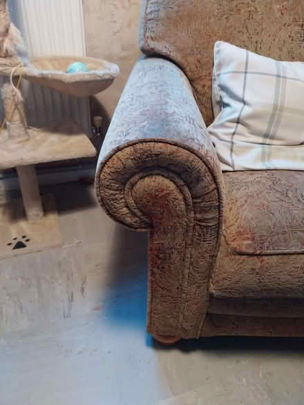 Photo of free Armchair (Bowthorpe NR5) #4
