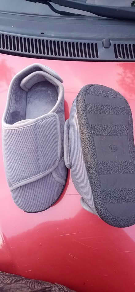 Photo of free Slippers (East Beechwood area) #1