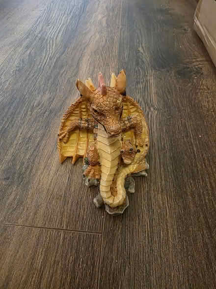 Photo of free Dragon laying down (Ramsgate CT11) #1