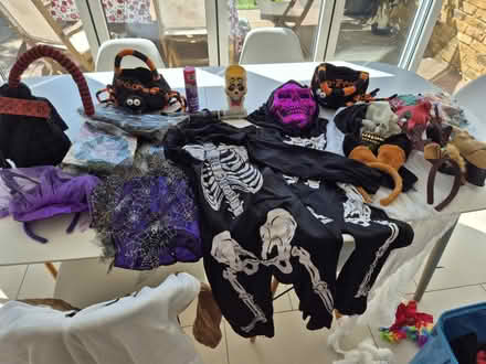 Photo of free Halloween items (Balham SW12) #1