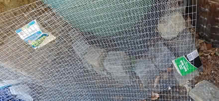 Photo of free Small animal / pet wire fencing (Chinnor / Radnage OX39 4) #1