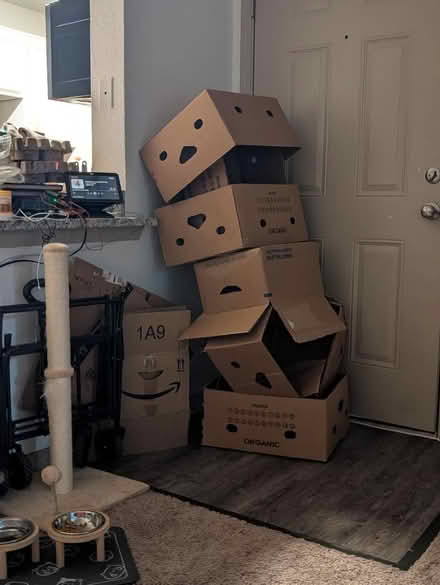 Photo of free boxes (Castle hills) #1