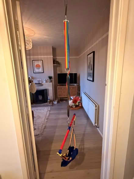 Photo of free Baby door bouncer (Wivenhoe CO7) #2