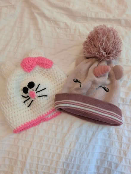 Photo of free Two hats (HP1) #1