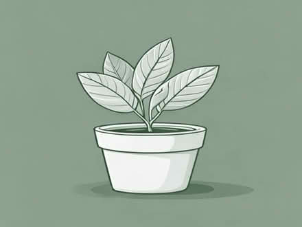 Photo of free Plastic plant pots (North Tonbridge TN10) #1