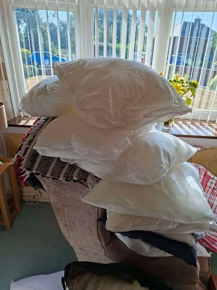 Photo of free Cushion inners (Wrexham LL13) #1