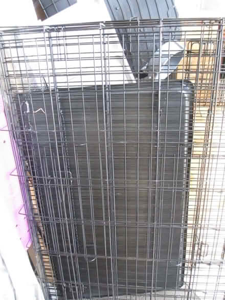 Photo of free Large folding dog crate with plastic tray (Cheylesmore CV3) #2