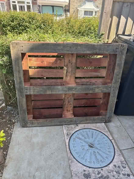 Photo of free 1 x Pallet (Milkwall, Coleford) #1