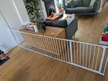 Photo of free Baby gate and room devider / Dog room devider (Stoke Newington N16) #1