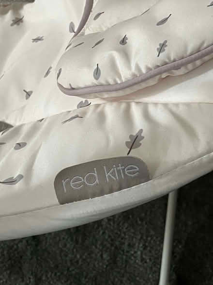Photo of free Red Kite Cozy Bouncer (Purley CR8) #4