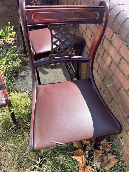 Photo of free 5 Dining chairs (Selly oak Birmingham B29) #2
