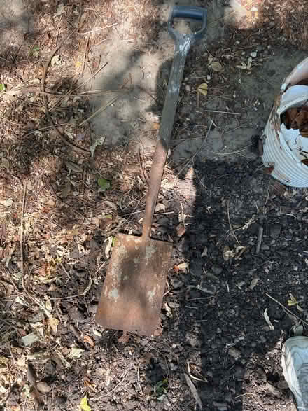 Photo of free Spade (Tunbridge wells TN4) #1