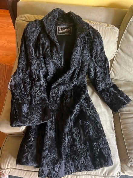 Photo of free Damaged Persian lambs wool coat (Mt. Pleasant DC) #1