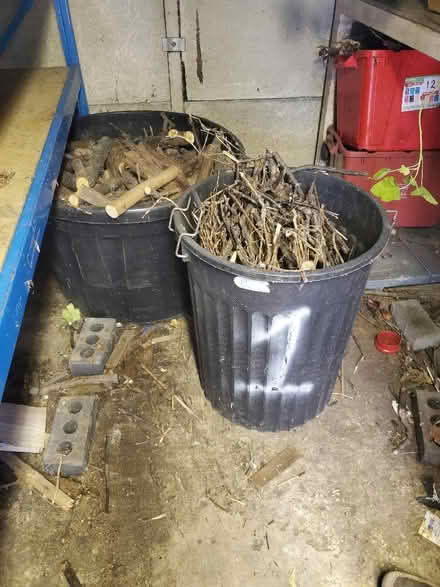 Photo of free Dry firewood (Cubbington CV32) #2