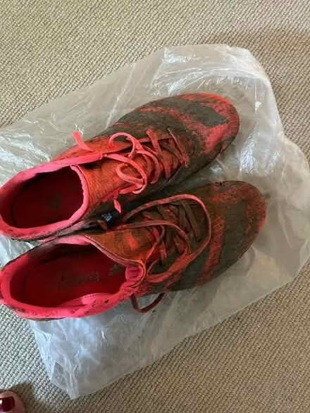 Photo of free running spikes (Shepherds Bush W14) #1