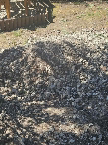 Photo of free Hardcore (Bletchley MK2) #1