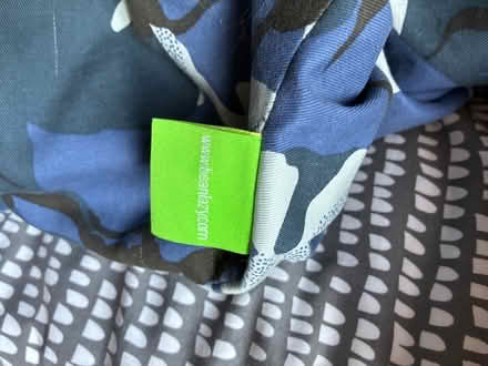 Photo of free Bean bags (Beckenham BR3) #3