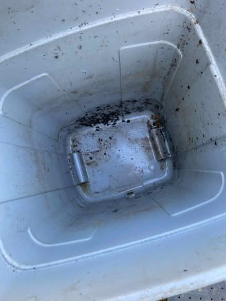 Photo of free Composting bin (Purbrook PO7) #3