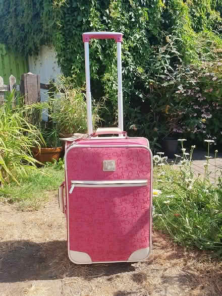 Photo of free Pink Suit Case (Havant PO9 3NY) #4