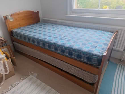 Photo of free Trundle bed (Teddington Park, Teddington) #1