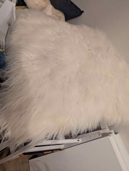 Photo of free 2 big fluffy cream cushions (Hangleton BN3) #1