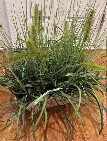 Photo of free Ethan Allen Seagrass basket (Langhorne, PA) #1