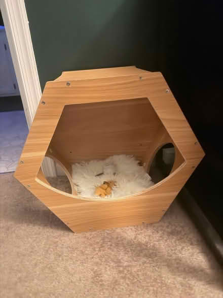 Photo of free Hexagon wall bed for cat (Dumfries) #1