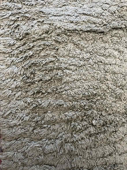 Photo of free Olive Green Dunelm rug 170x120cms (Kings Langley WD4) #2
