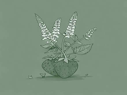 Photo of free Alpine strawberries and Verbena Bonariensis (Lewes BN7) #1