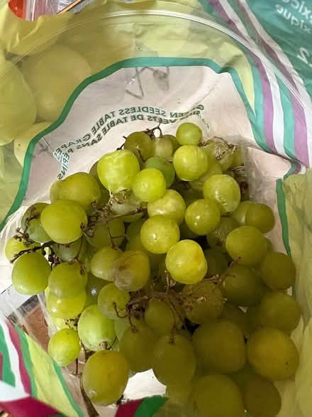 Photo of free Grapes (Harlem) #3