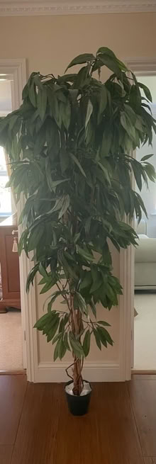 Photo of free Huge 6 foot artificial mango tree (Surbiton KT6) #1
