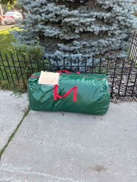 Photo of free Christmas tree, in a bag (Main/Danforth) #1