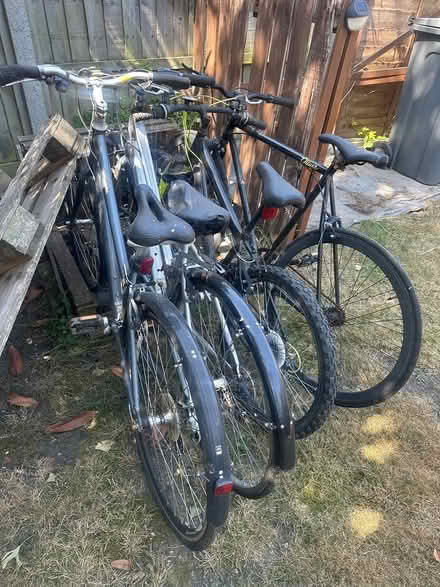 Photo of free Bikes (SG1) #2