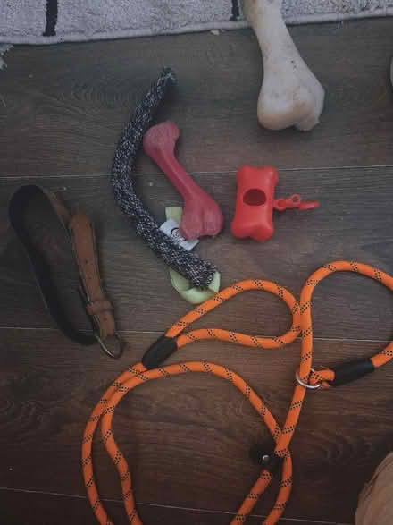 Photo of free Dog items lead collar toys etc (West Derby L11) #1