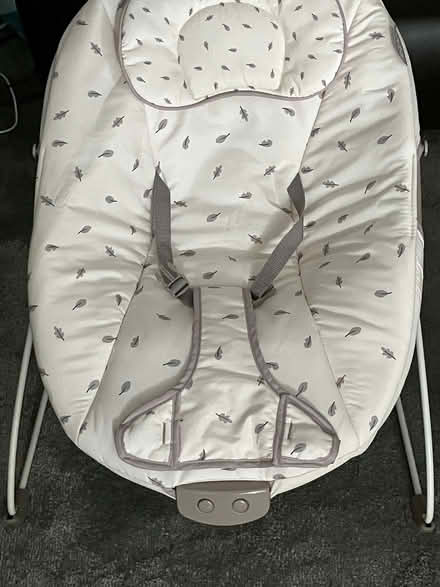 Photo of free Red Kite Cozy Bouncer (Purley CR8) #3