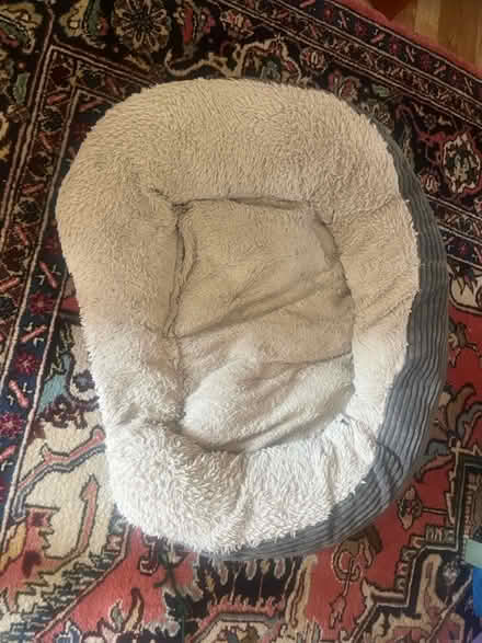 Photo of free Dog bed (Levenshulme M19) #1