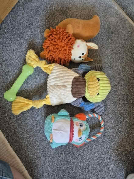 Photo of free Dog toys (Minster Lovell OX29) #1