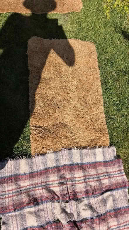 Photo of free Various rugs including dog rugs (Hall i' th' Wood BL2) #4