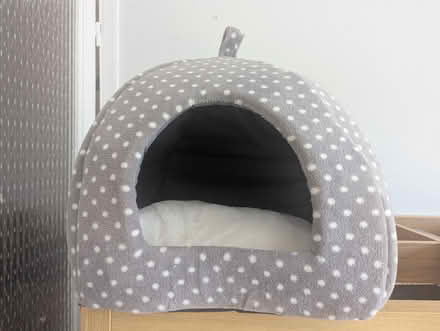 Photo of free Cat bed (Gedling, Nottingham NG4) #1