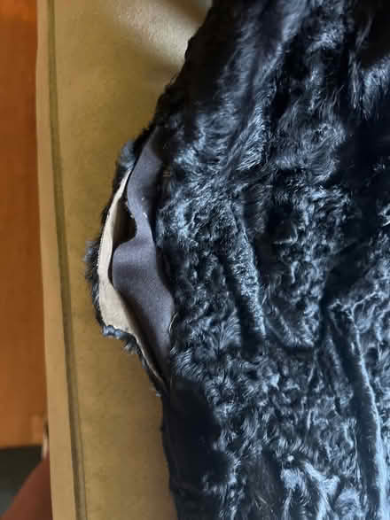 Photo of free Damaged Persian lambs wool coat (Mt. Pleasant DC) #3
