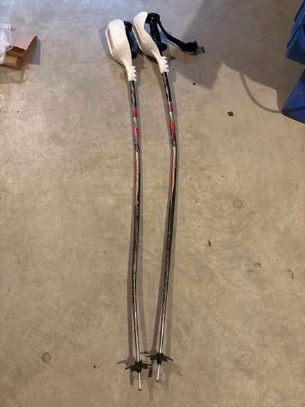 Photo of free Ski racing poles (South acton) #1