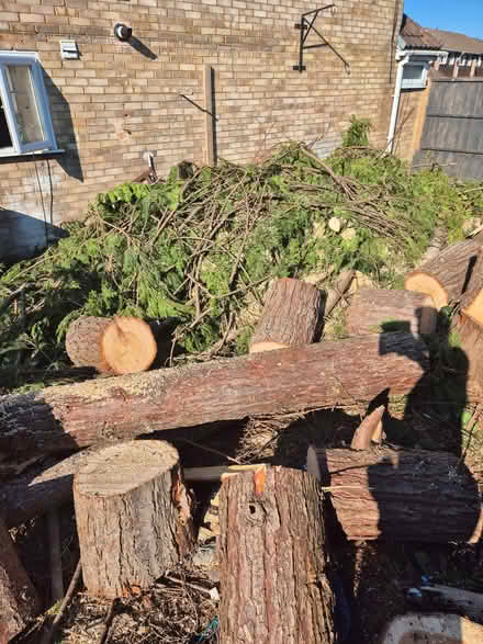 Photo of free Logs (Langley SL2) #4